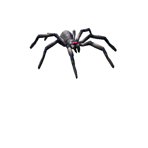 spider fat_03